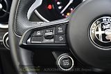 Alfa Romeo Stelvio 2.0T 16V 206kW VELOCE AT8 Q4 - náhled 27