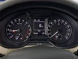 Škoda Octavia (2015) 2.0 TDI, 4X4, Serv.kniha - náhled 11