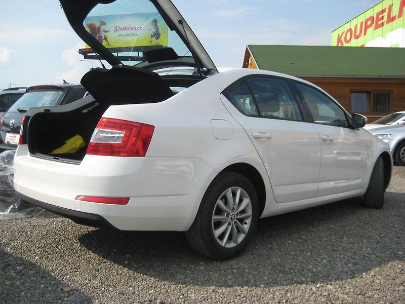 Škoda Octavia 1.4 TSi 110 kW DSG DPH Top ČR! - fotka 4 z 29
