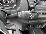 Škoda Fabia 1,0 TSI DPH 1.maj. původ ČR - náhled 29
