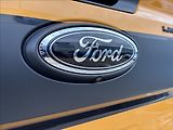 Ford Ranger 2,0 Wildtrak X 150kW DPH - náhled 15