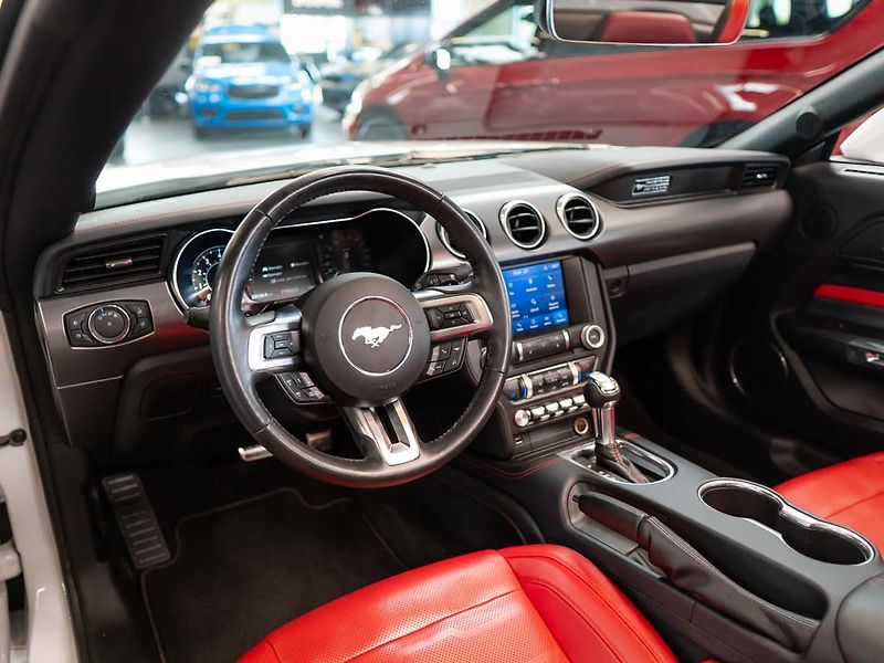Ford Mustang (2019) 5.0 GT Premium Convertible - fotka 11 z 31