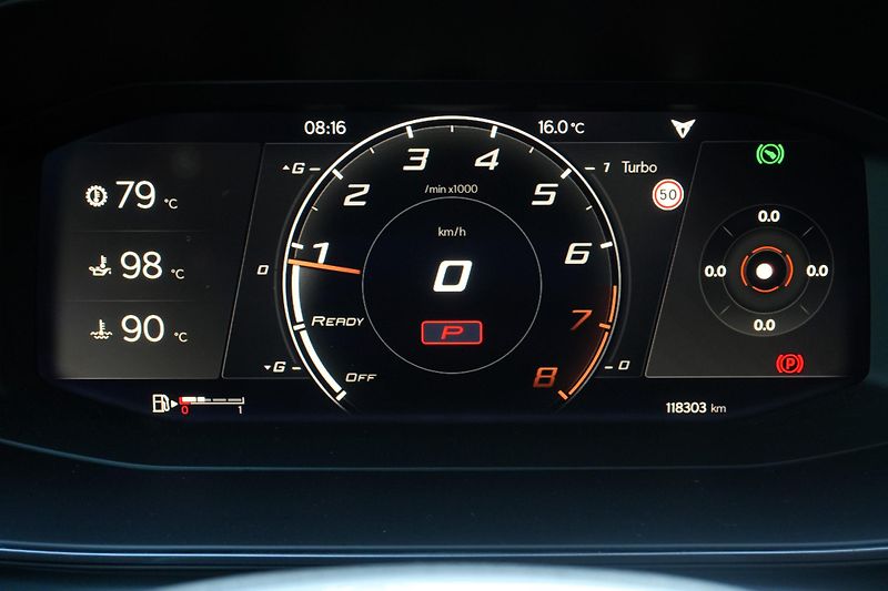 Cupra Formentor VZ 2.0 TSI, Remus, Beats, PPF - fotka 18 z 38
