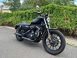 Harley-Davidson XL 883N Sportster Iron (2011) - náhled 1