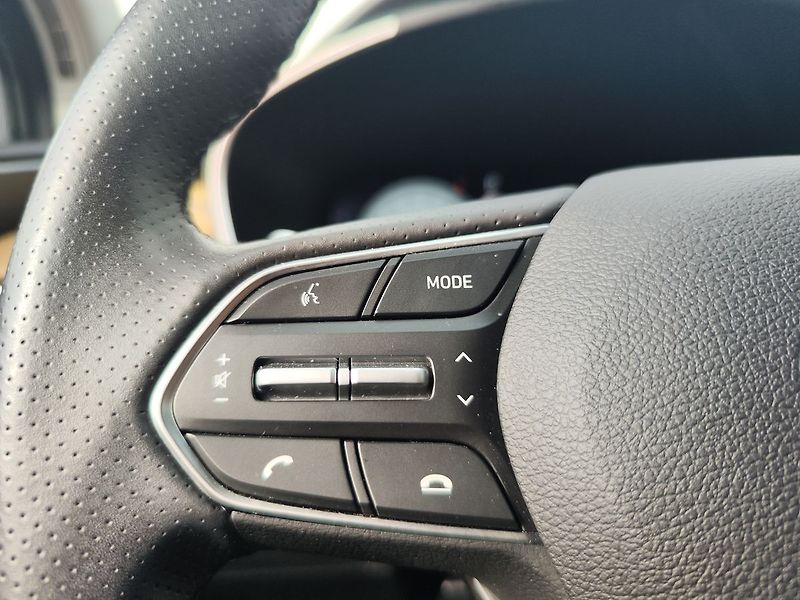 Hyundai Santa Fe 2.2 TDCI/142kW Style Premium - fotka 29 z 38