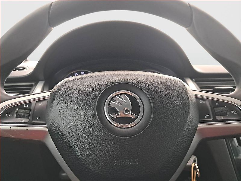 Škoda Rapid (2015) Ambition 1.6 TDI, Eko.zaplacen - fotka 15 z 17