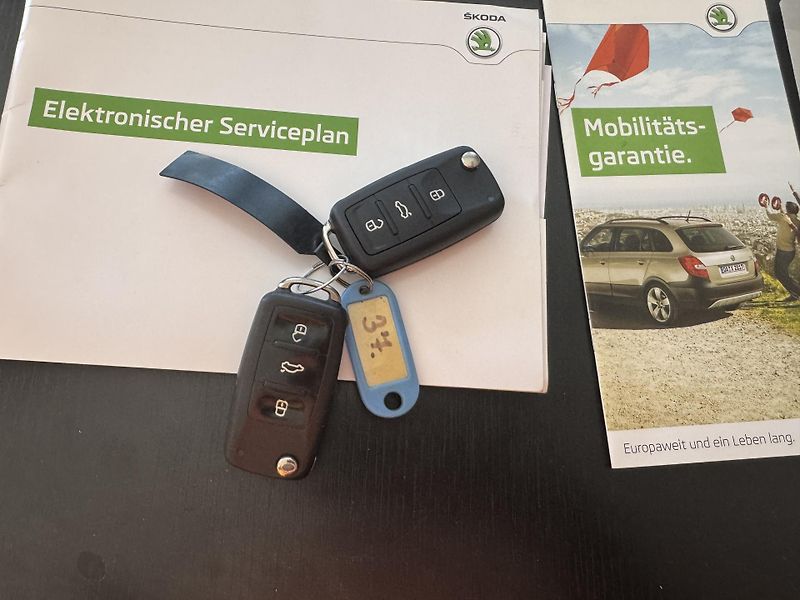 Škoda Fabia (2014) 1.4-16V(63KW)rezervace - fotka 33 z 38