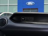 Ford Mustang 5,0 GT V8 330kW 55YearsEdition - náhled 33