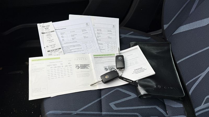 Škoda Fabia 1.2TSi*63kW*FRESH*133TKM*TOP* - fotka 20 z 32