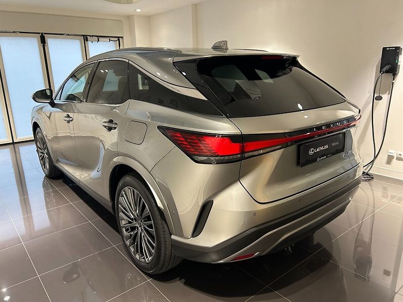 Lexus RX 450h+ 2.5 PHEV LUXURY - fotka 4 z 12