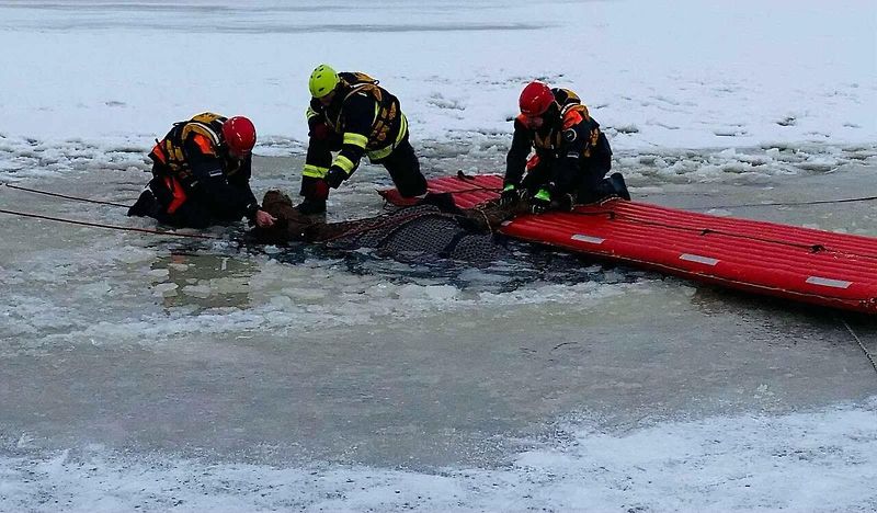 Hasiči vyprošťovali osobní automobil Toyota RAV4 rakouského řidiče, který se ve středu 13. ledna probořil ledem do Lipna při jízdě po zamrzlé hladině vodní nádrže mezi Frymburkem a Frýdavou.