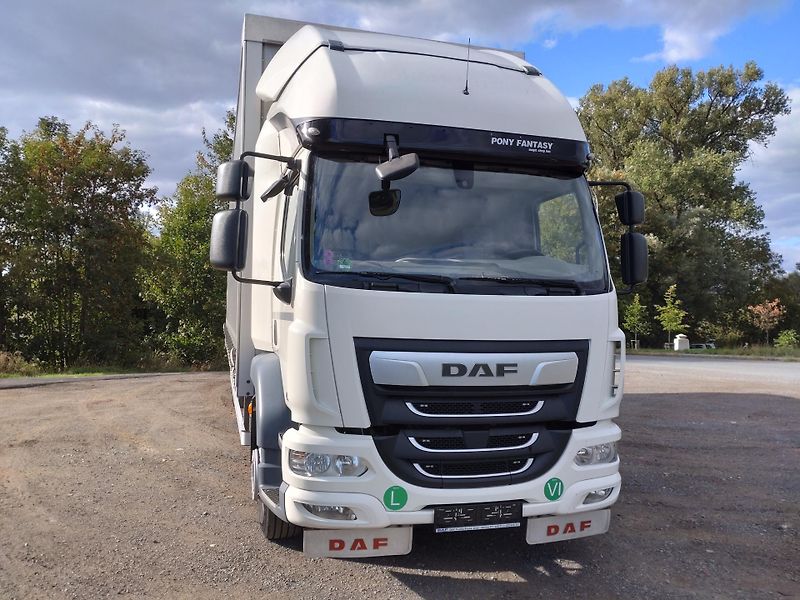 DAF LF (2022) 290 FA -16t-21 EP- 3m- 2 Lůžka - fotka 7 z 38
