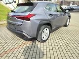 Lexus UX 250h BUSINESS edition,alcantara - náhled 7