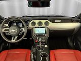 Ford Mustang 5.0 V8 GT CABRIO, ROUSH VÝFUKY - náhled 11
