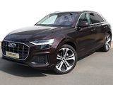 Audi Q8 50 TDI Quattro - náhled 1
