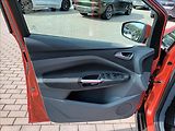 Ford Grand C-MAX 2,0 TDCI,103KW,NAVI,SERVIS, - náhled 16