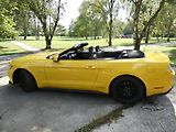 Ford Mustang (2015) kabriolet - náhled 11