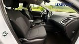 Kia Ceed 1.5 T-GDI SPIN - náhled 12