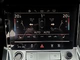 Audi e-tron 0,0 55,95KWH,4x4,SOH 91,6%,taž - náhled 32