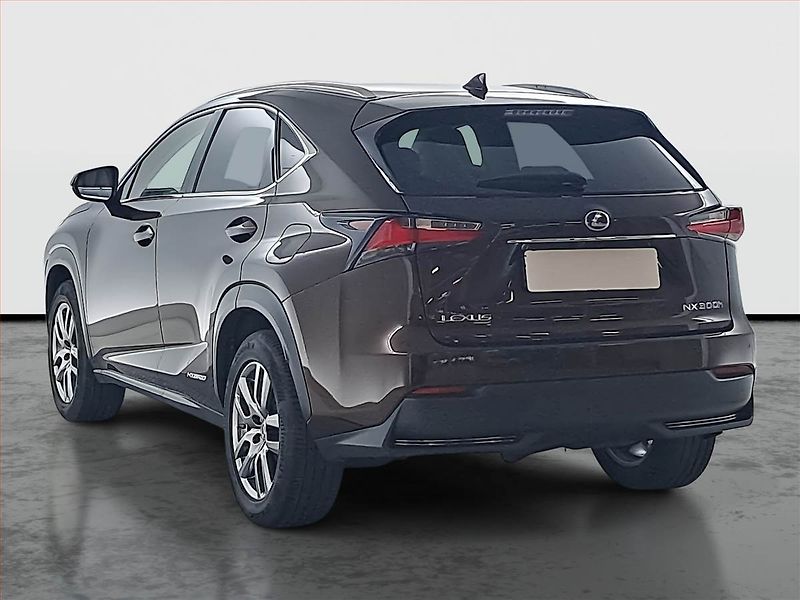 Lexus NX 300h (2016) 300h - fotka 4 z 17