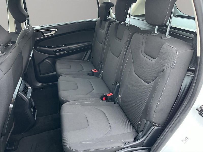 Ford S-MAX (2020) 2.0 110kw, Fordpass, Navi - fotka 22 z 23