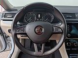 Škoda Superb (2018) 2.0 TDI 4x4, Bixen, navi - náhled 13