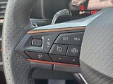 Cupra Formentor 1,5 TSi DSG LED Matrix Tažné Z - náhled 18