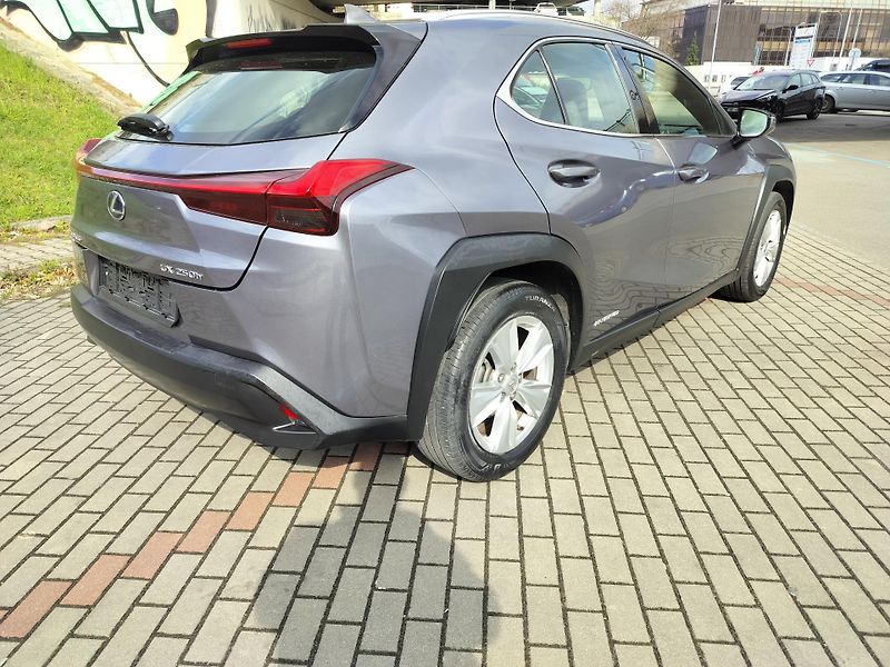 Lexus UX 250h BUSINESS edition,alcantara - fotka 7 z 24