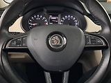 Škoda Octavia (2016) 2.0 TDI, Serv.kniha, Tempomat - náhled 17