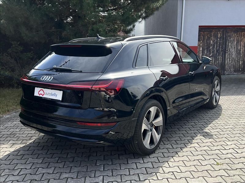 Audi e-tron 50 Quattro Proline Limited - fotka 5 z 38
