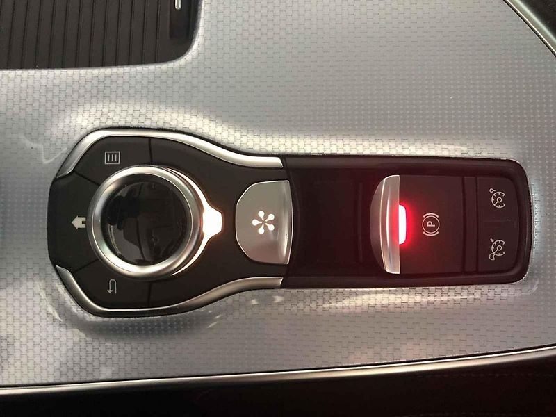 Renault Talisman má naopak dražší benzinový motor.