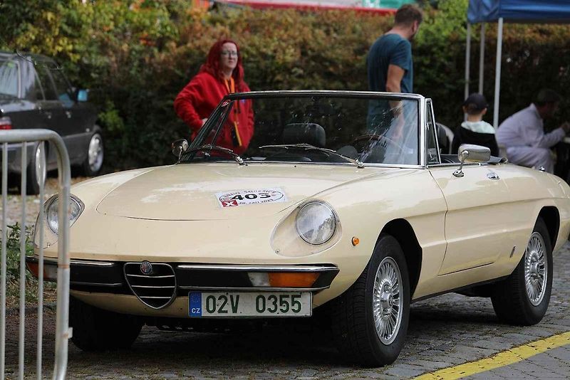 Na akci Jízda do vrchu a výstava historických vozidel se představilo na tři sta automobilů a motocyklů.