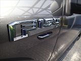 Ford F-150 5,0 V8, hardtop - náhled 17