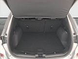 Ford Kuga (2024) ST-Line X 2.5 Plug-in Hybrid - náhled 14