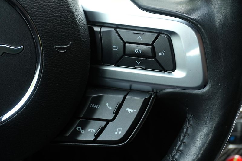 Ford Mustang 5.0 V8 GT, DPH, ACC, Ventilace - fotka 19 z 35