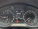 Škoda Octavia 2.0 TDi 110 kW SERVISKA - náhled 16