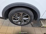 MG ZS (2021) Luxury 44,5 kWh, (143 koní) - náhled 9
