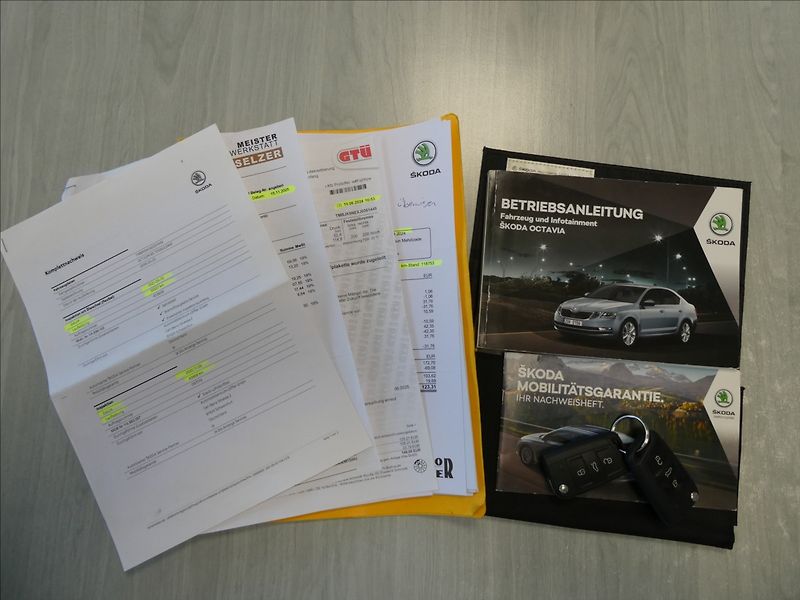 Škoda Octavia 2,0 TDi 135kW RS DSG, serviska - fotka 42 z 49