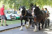 Festival MotorSvět se do areálu Psychiatrické nemocnice v Havlíčkově Brodě vrátil.po dvou letech. Koně tam byly nejen pod kapotou, ale i ti živí.