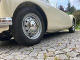 MG Ostatní MGA 1500 Roaster - náhled 15