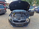 Škoda Octavia 1,6TDI 85KW VÝHŘEV TAŽNÉ  - náhled 19