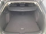 Volkswagen Golf (2021) Life 2.0 TDI, ČR,1.maj - náhled 14