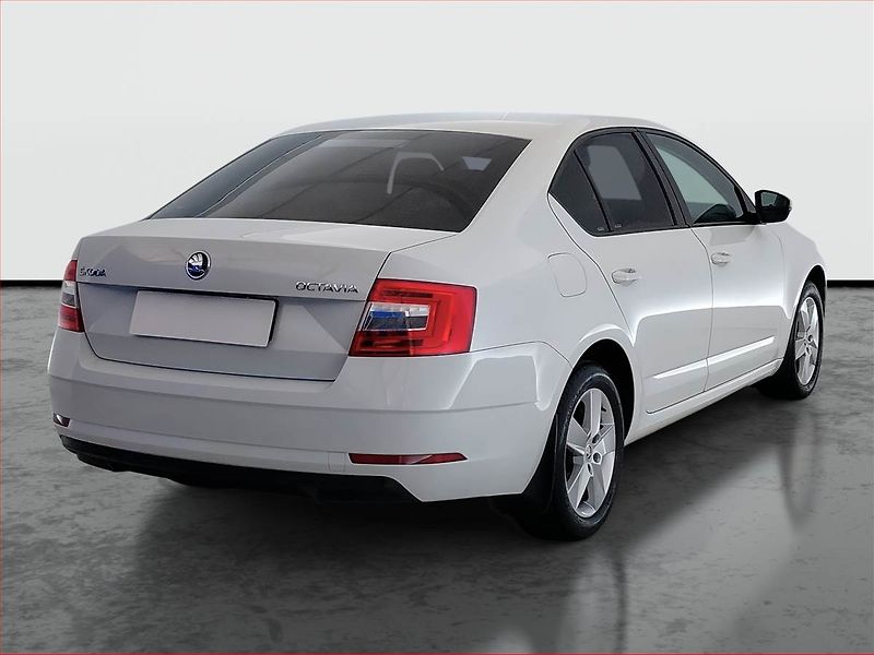 Škoda Octavia (2018) 1.4 TSI, ČR,1.maj, Serv.kniha - fotka 5 z 15