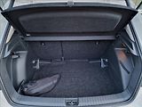 Škoda Fabia 1.0TSI Ambition,ČR,1.Majitel - náhled 16