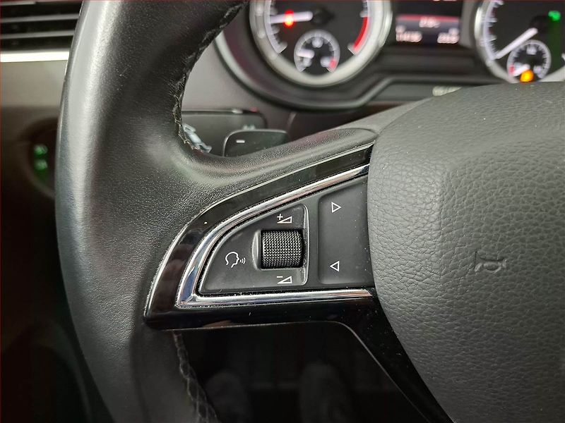 Škoda Octavia (2018) Laurin&Klement 2.0 TDI, 4X4 - fotka 17 z 21