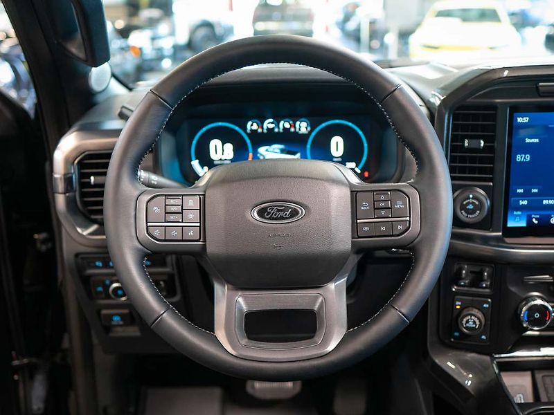 Ford F-150 (2024) 5.0 V8 Lariat, Lowered Edition - fotka 18 z 39