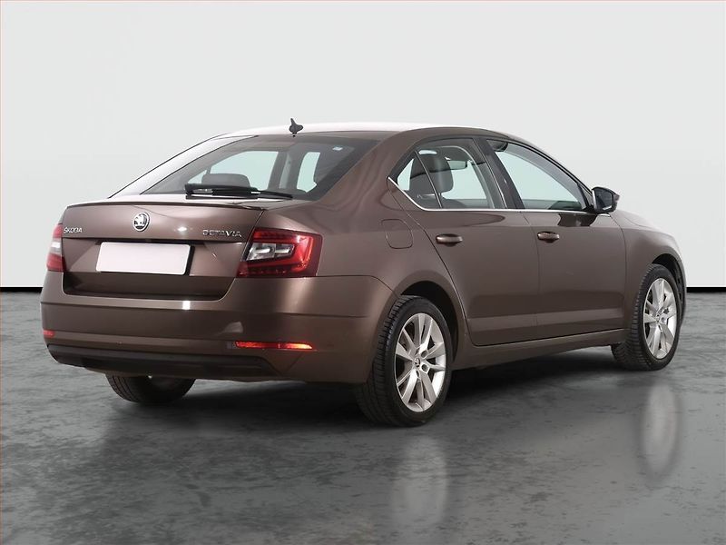 Škoda Octavia (2018) 2.0 TSI, Automat, Kůže, Navi - fotka 5 z 25