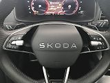 Škoda Karoq (2024) SPORTLINE  2,0 TDI 4x4  DSG - náhled 9