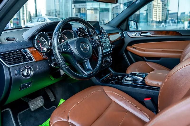 Mercedes-Benz GLS (2019) Rodinné SUV V6 - fotka 7 z 13