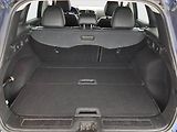 Renault Kadjar (2017) 1.2 TCe, ČR,1.maj, Kůže, Navi - náhled 13